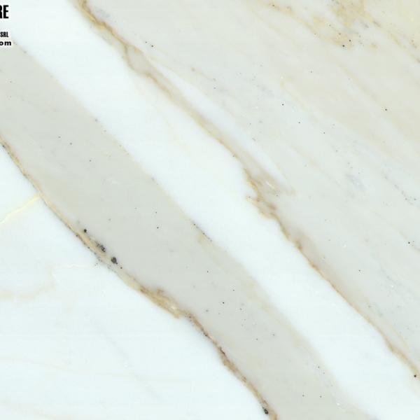 Calacatta Oro