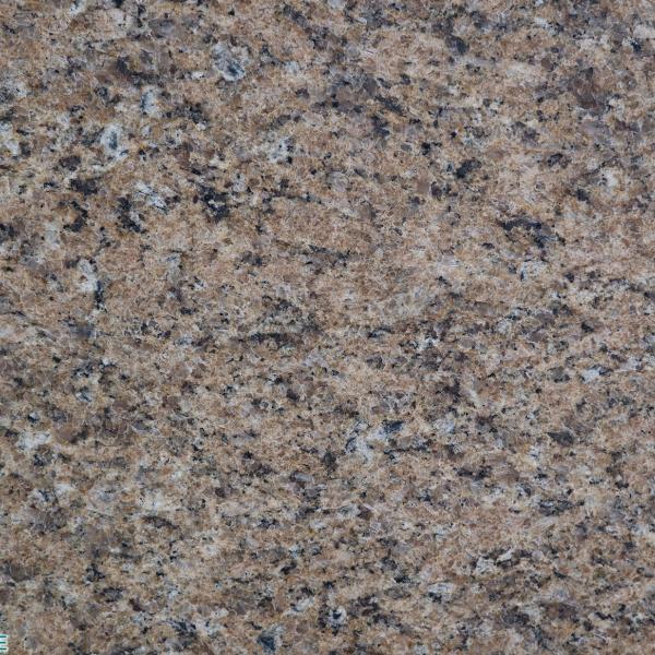 Giallo Veneziano Originale