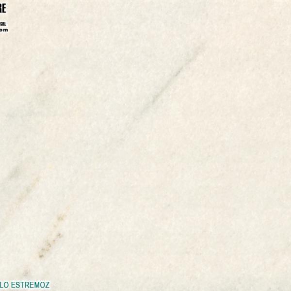 Rosa Portogallo Estremoz